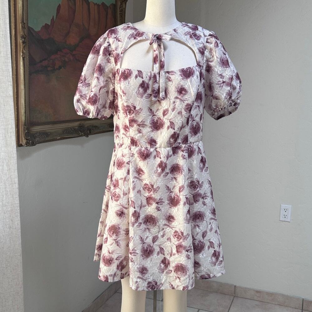 Cottagecore Mini Dress Floral Puff Sleeve Cutout Romantic XL NWT Lulus